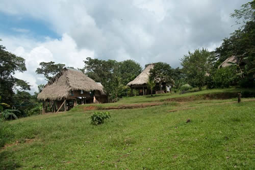 Embera